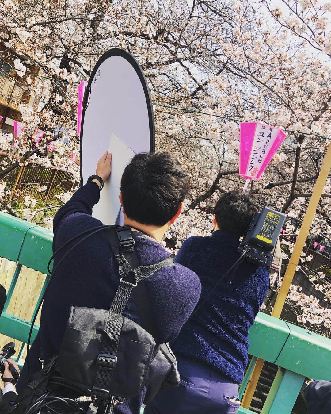 楪望さんのインスタグラム写真 - (楪望Instagram)「🌸桜の季節が到来🌸 優しいピンクで彩られた、春色の風景に癒されてきました☺️🍡✨ * 今年の春も桜中継で目黒川沿いへ📺🎥🌸🌸🌸 お仕事で桜を愛でることができるなんて、幸せすぎます💓 * 東京の桜は今週半ば〜今週末が見頃なんだとか🐈✨ * 平成最後のお花見🌸 皆さんはどのように過ごされますか？✨╰(*´︶`*)╯✨ * #目黒川 #桜 #四分咲き #場所によっては五分咲き以上 #春色 #ソメイヨシノ #平成最後 #生中継 #取材 #abemanews #けやきヒルズ #cherryblossom #sakura #中目黒 #spring #📺 #🎥 #お花見したい #🌸」3月26日 10時54分 - nozomi_yuzuriha_official