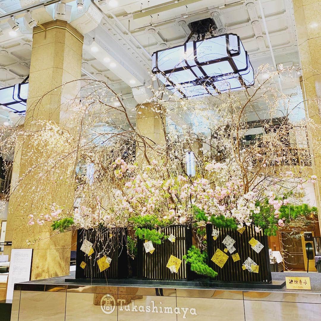いけばな池坊のインスタグラム