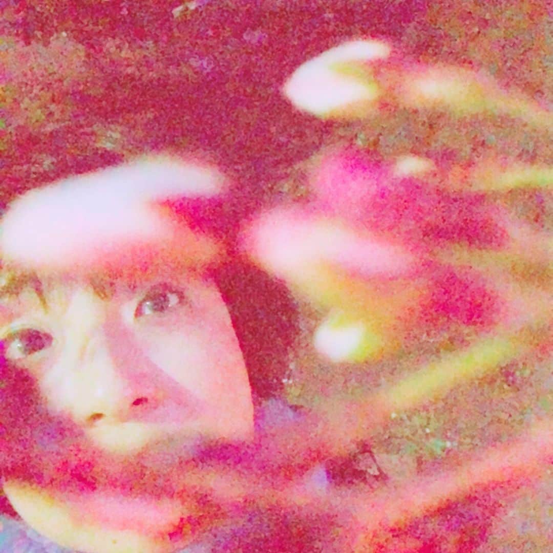 藤田朋子さんのインスタグラム写真 - (藤田朋子Instagram)「#花見 いや、寒いよね🌸毎年 でも、あったかくなると、散ってしまうんだよね🌸」3月26日 11時19分 - chiendormant