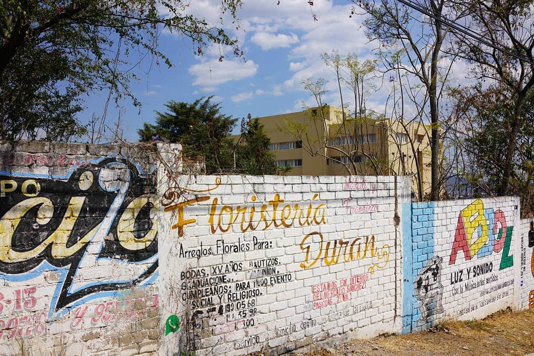 谷中敦さんのインスタグラム写真 - (谷中敦Instagram)「素晴らしく美しいメキシコらしい街。昨日のライブの主催関連の人のお母様が『住んで欲しい』って言ってくれたけど、なるほどね、って思いました。機会がもしもあったなら、是非オアハカに訪れてみて欲しいです。 #sonycamera #RX1RM2 #RX0」3月26日 11時34分 - a.yanaka