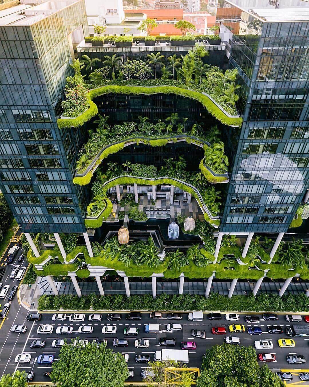 PicLab™ Sayingsさんのインスタグラム写真 - (PicLab™ SayingsInstagram)「Architecture meets nature at the ParkRoyal Hotel in Singapore 📸: @bennytgh」3月26日 11時35分 - paradise