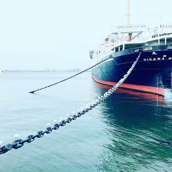 のインスタグラム：「はーい🙋横浜〜〜🤗🎶 港に来ると、カメラ目線じゃない写真を撮りたくなる🌟✨あるある！ #yokohama #横浜 #さとうやすえ #mama #yasuesato #ysjewel #actress #model #女子たいむ #佐藤康恵 #feelingood #鳥カワイイ」