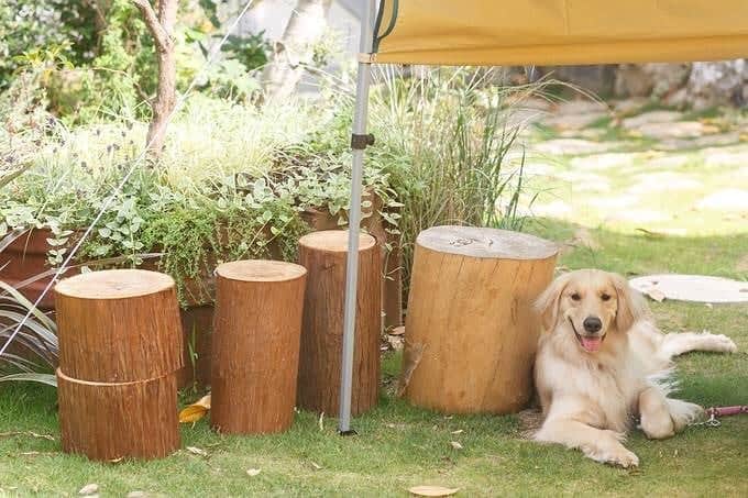 BARN&FOREST148のグルメインスタ