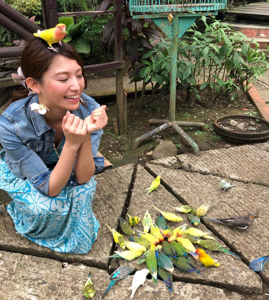 市原彩花さんのインスタグラム写真 - (市原彩花Instagram)「🦜鳥まみれ🤣🦜🦜 . ダバオのマラゴスガーデンにはチョコだけじゃく、バードショーや鳥と触れ合える施設も😆 こーんなにたくさんの鳥に囲まれて、頭にも乗られたのは初めて🤣❣️ キャーーーって感じだったけど、鳥可愛くてすごく面白かった😆💕 #もっと楽しいフィリピン#フィリピンファンセール#flytomorefun#cebtravelsquadjapan#フィリピン#philippines#ダバオ#davao#malagos#malagosgardenresort#鳥#bird#バードショー#インコ#オウム#モデル#model」3月26日 12時25分 - ayaka_ichihara