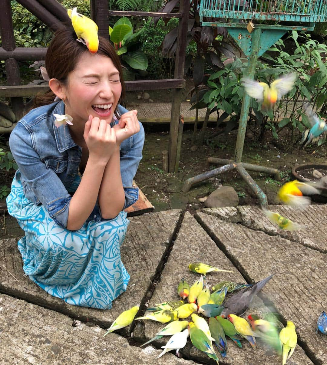 市原彩花さんのインスタグラム写真 - (市原彩花Instagram)「🦜鳥まみれ🤣🦜🦜 . ダバオのマラゴスガーデンにはチョコだけじゃく、バードショーや鳥と触れ合える施設も😆 こーんなにたくさんの鳥に囲まれて、頭にも乗られたのは初めて🤣❣️ キャーーーって感じだったけど、鳥可愛くてすごく面白かった😆💕 #もっと楽しいフィリピン#フィリピンファンセール#flytomorefun#cebtravelsquadjapan#フィリピン#philippines#ダバオ#davao#malagos#malagosgardenresort#鳥#bird#バードショー#インコ#オウム#モデル#model」3月26日 12時25分 - ayaka_ichihara