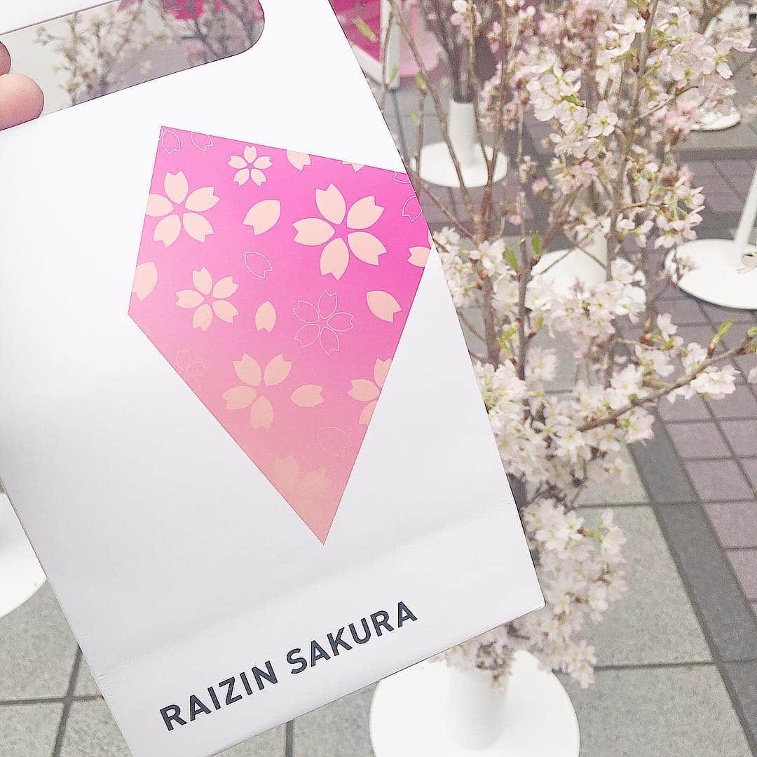 砂川陽香さんのインスタグラム写真 - (砂川陽香Instagram)「ㅤㅤㅤㅤㅤㅤㅤㅤㅤㅤㅤㅤㅤ ㅤㅤㅤㅤㅤㅤㅤㅤㅤㅤㅤㅤㅤ ㅤㅤㅤㅤㅤㅤㅤㅤㅤㅤㅤㅤㅤ ※ 本日限定 ※ ㅤㅤㅤㅤㅤㅤㅤㅤㅤㅤㅤㅤㅤ ㅤㅤㅤㅤㅤㅤㅤㅤㅤㅤㅤㅤㅤ #有楽町駅 目の前の#東京交通会館 にて 可愛い#桜 のブース発見！ #RAIZINSAKURASTAND で限定の#RAIZIN 貰えるし #お花見 気分味わえて嬉しみ…！ 近くにいる方はぜひお立ち寄りください✌︎✌︎ ㅤㅤㅤㅤㅤㅤㅤㅤㅤㅤㅤㅤㅤ ㅤㅤㅤㅤㅤㅤㅤㅤㅤㅤㅤㅤㅤ #raizinsakura #PR #エア花見 #cherryblossom #花見 #sakura #instagood #photoshoot #有楽町 #京橋 #春休み #女の子ママ #mamagirl #桜スポット #期間限定 #映えスポット #ボブ #ショートボブ #切りっぱなしボブ #シースルーバング」3月26日 12時37分 - hirokattsunnnn