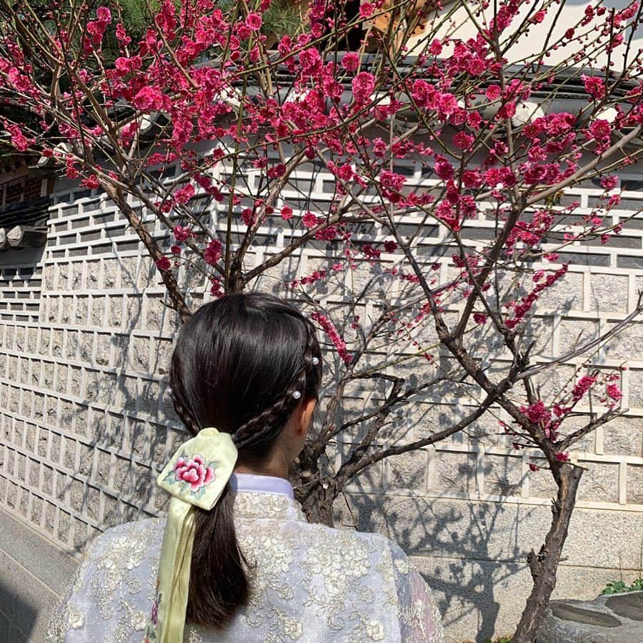 中嶋桃花さんのインスタグラム写真 - (中嶋桃花Instagram)「初韓服 チマチョゴリ  似合いますか？❤︎」3月26日 12時42分 - momoka_nakajima