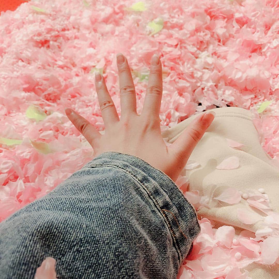 國分優香里さんのインスタグラム写真 - (國分優香里Instagram)「✩ 東京・南青山のIKIBA in commune2ndにて、2019年3月22日(金)から31日(日)まで開催中の「サクラチルバー(SAKURA CHILL BAR) by 佐賀」に事務所後輩のちえぞうと行って来ましたー❗️ ✩ 大好きな、日本酒&苺🍶🍓✨ ✩ 少し早いインドア花見、満喫して来ました🤤💕 ✩ 勿論❗️ 目玉の桜プールも入ってきましたよ🌸🌊 ✩ ちえぞうと2人、桜に埋まって撮ってもらったのですが… あまりにインスタ映えしてなさ過ぎたので却下⚡️（笑） ✩ ちえぞうが、桜の下には死体が埋まっている…と言い出し、うまい❗️と笑いました💀💨 ✩ 帰りは近くに咲いていたリアル桜を見ました🌸 まだ少ししか咲いていなかったけれど、夜桜もとても綺麗でした💗🌃 ✩ ✩ もう春ですね😁 皆様も引き続き、素敵な春をお過ごし下さいませ〜🎶 ✩ ✩ ✩ #サクラチルバー #佐賀 #日本酒 #いちごさん #桜プール #インスタ映え難しい #完全に死体 #パンツの中にも桜 #隠し撮りされた #桜 #夜桜」3月26日 12時43分 - kokubun_yukari