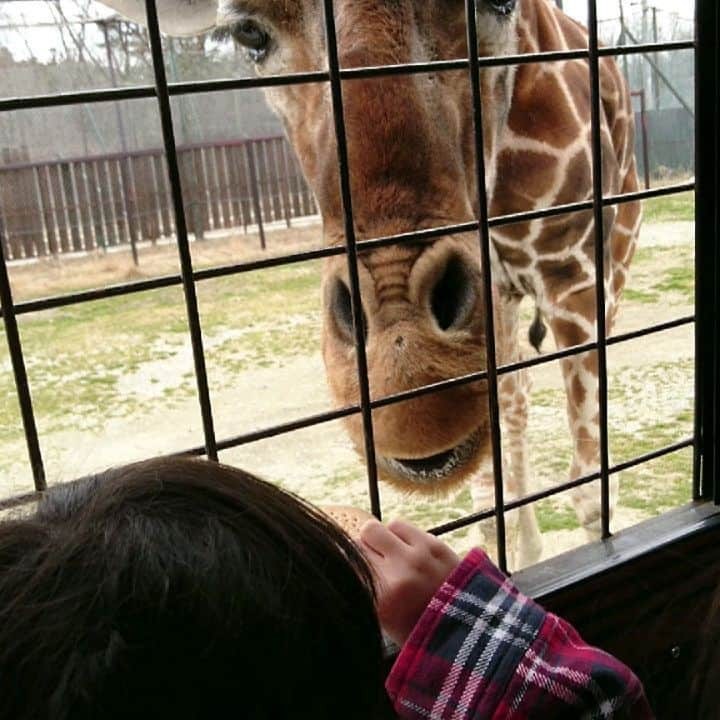 安田さちのインスタグラム