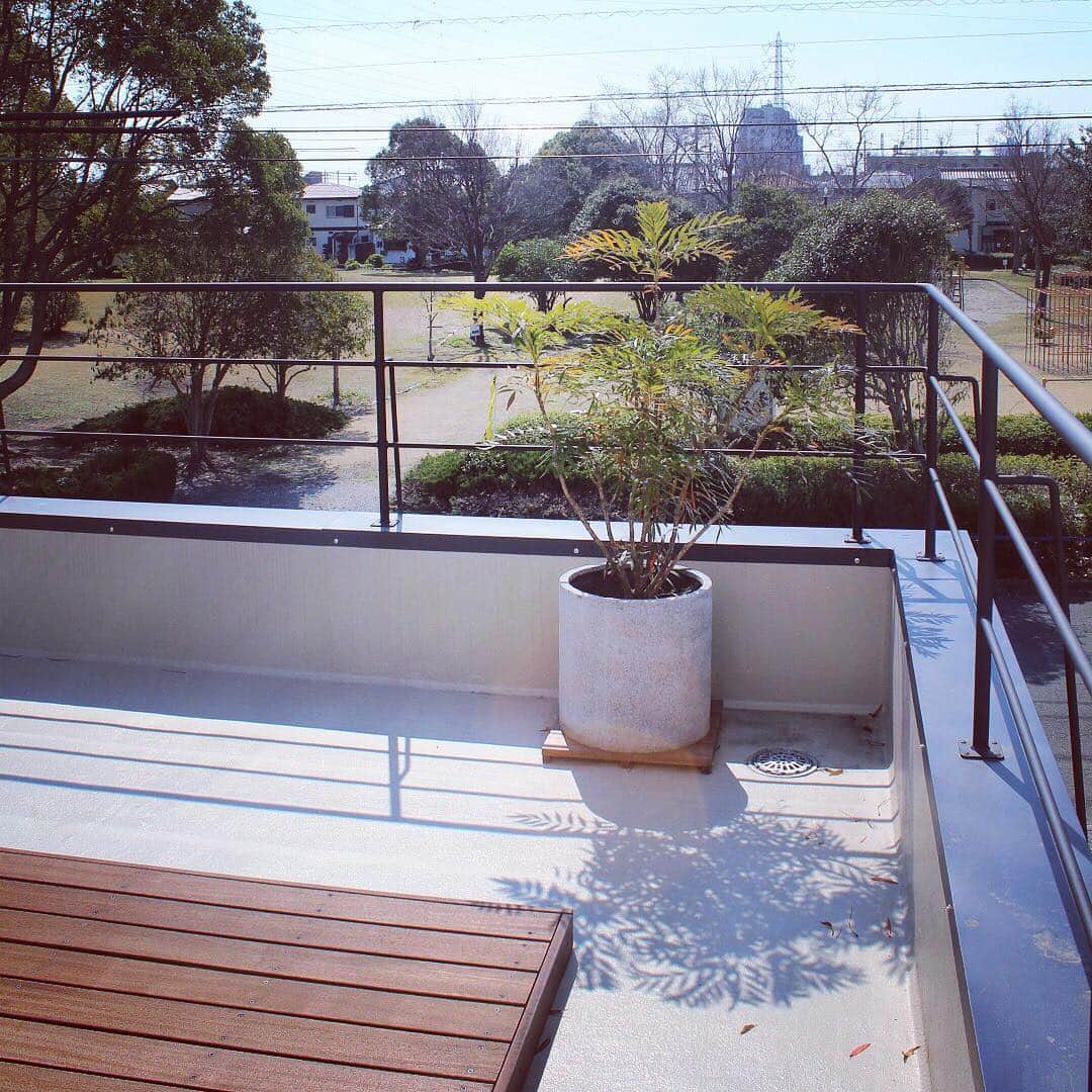株式会社 新大陸さんのインスタグラム写真 - (株式会社 新大陸Instagram)「. 浜松本社にてコーヒー片手にまったりと業務を進めております、新大陸のアキラです。だいぶ暖かくなり、お外でのランチタイムが楽しくなってまいりました！ . 先日は浜松を中心に大人気の移動型サンドイッチショップHiroAina（ヒロアイナ）さんが来てくれまして、スタッフ皆で美味しくお洒落にお外でランチ。 . 新大陸浜松本社は、自然に恵まれた好立地！目の前に広がる公園や、オフィス２階のウッドデッキなどリラックスできる環境が整っています。 . ランチタイムには、ワークスペースからいったん離れてリフレッシュ。質の高いパフォーマンスのために、新大陸は休憩することも大切な仕事と考えています。 . 散歩してもよし、ちょこっとお昼寝をしてもよし。クリエイティブな仕事こそこうでなくちゃね！ . #新大陸 #shintairiku #SNS #マーケティング #ウェブマーケティング #SNSマーケティング #浜松 #東京 #大阪 #福岡 #hiroaina #ヒロアイナ #ハンバーガー #ランチ #lunchtime #デリバリー #浜松ランチ #移動販売 #リフレッシュ #昼休み #お外でランチ」3月26日 12時53分 - shintairiku.co.ltd