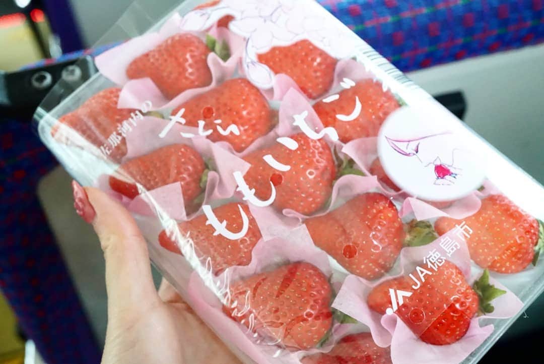 石関友梨さんのインスタグラム写真 - (石関友梨Instagram)「「ももいちご」って品種のいちご🍓 #フルーツパーラーむらはた  #ももいちご  #1パック2000円  #高級いちご  #ふわふわのお布団に包まれてる #お土産で買ったのに  #家でゆっくり食べようと思ったのに  #ももいちごって何？  #気になりすぎて  #バスの中で食べちゃった  #本当に桃と苺だ  #見た目と食感は苺  #味は桃」3月26日 12時59分 - yurimorico