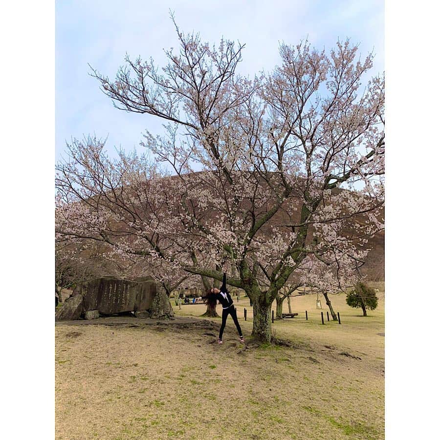 松岡李那さんのインスタグラム写真 - (松岡李那Instagram)「桜の季節ですね🌸🌸🌸🌸🌸🌸🌸🌸🌸🌸🌸🌸🌸🌸🌸 #cherryblossom In japan ! #大室山さくらの里 に行ってきたよ🐻❤️ ここには40種類の桜が植えられてるんだって❣️ There is 40 kind of Sakura!! 時期によって咲き始め、満開、咲き終わりって同じ場所でたくさんの桜を楽しめたよ☺️💕 早くぽかぽかにならないかなぁ💕💕 #春は変態が増えるんだって #桜祭り」3月26日 13時02分 - linahxoxo