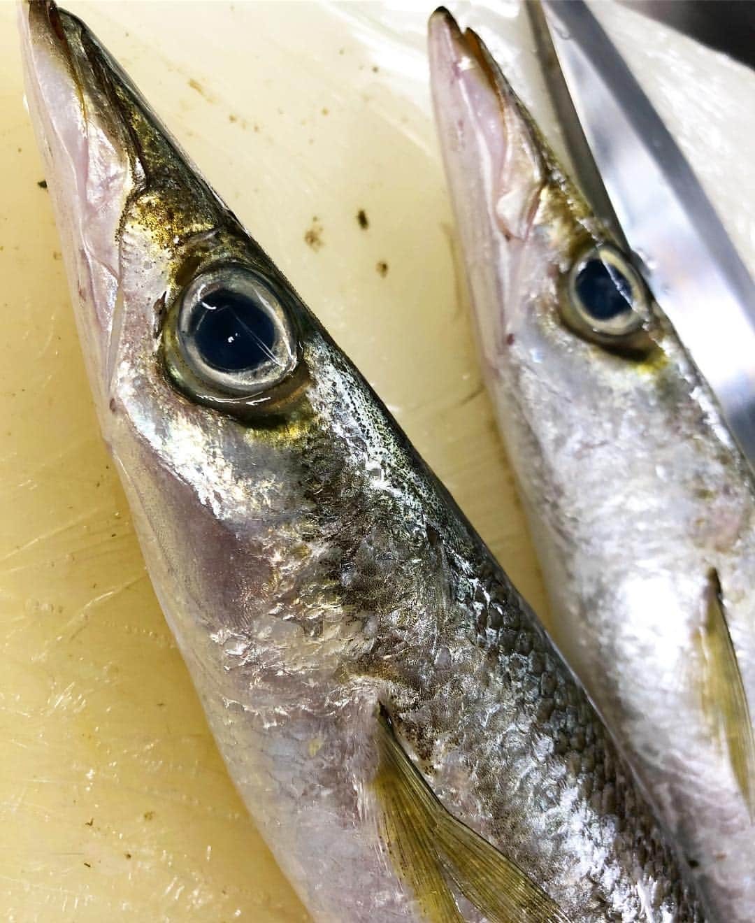 寿司居酒屋 番屋のグルメインスタ