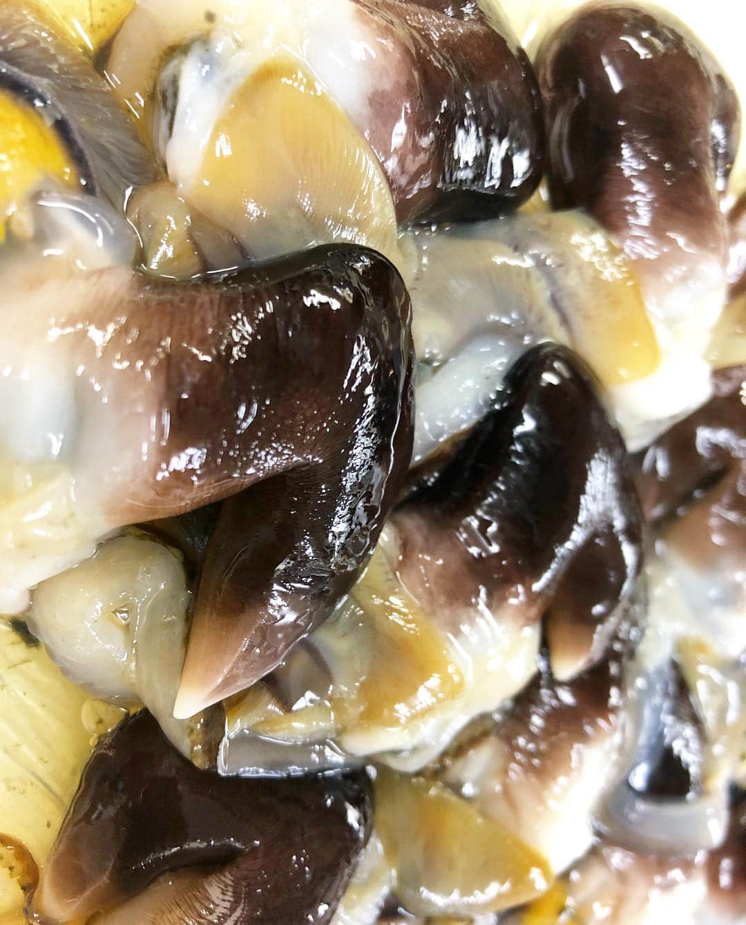 寿司居酒屋 番屋のグルメインスタ