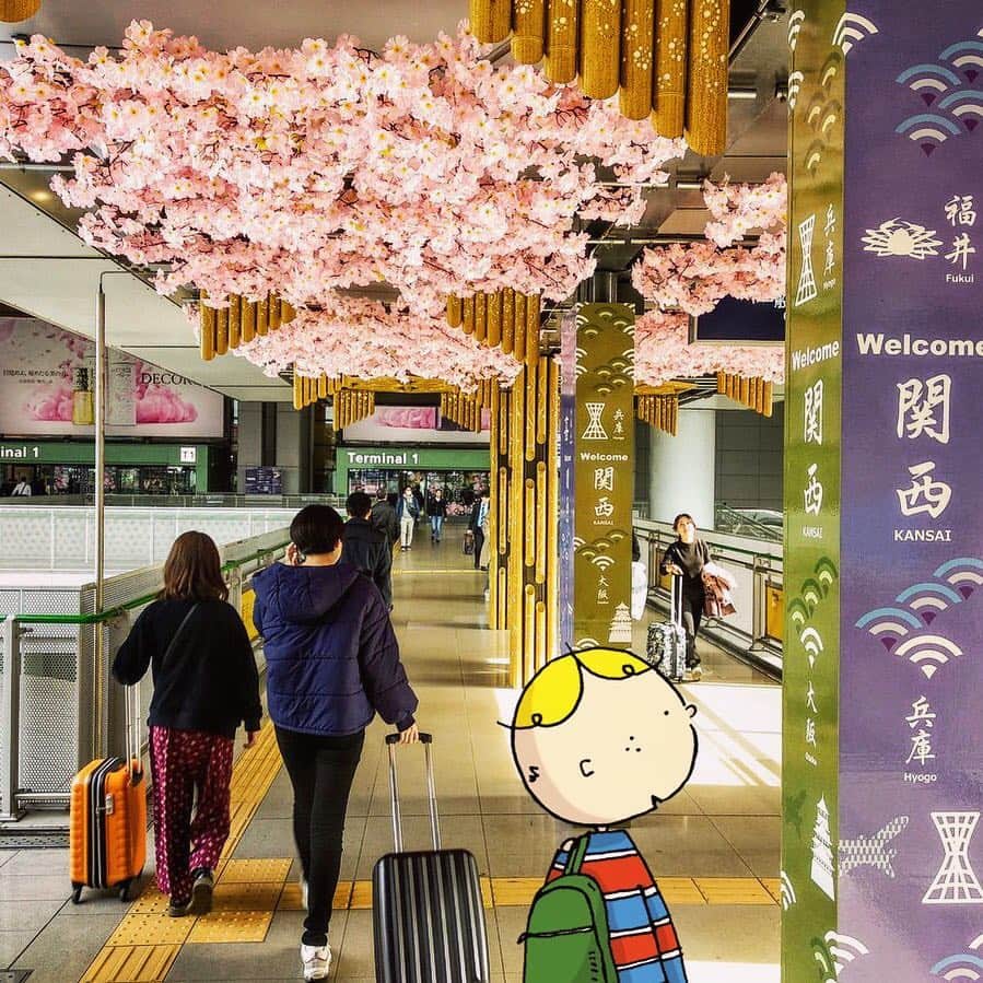 のインスタグラム：「These are probably the first & last sakura you'll see when you visit Osaka😍 Does anyone recognize this walkway? . 関空では桜もお見送り🌸 . #sakura #KIX #withOsakaBob #OSAKA #maido」