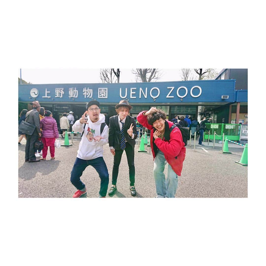 のインスタグラム：「『上野動物園』 ・ ・ ・ 昨夜は『たかみちの噺』に来て頂きありがとうございました。 また来月も決まり次第告知します！ ・ ・ ・ #東京 #上野動物園 #秀正大崎 #パーティーズ菅野 #八田荘鈴木 #みんなのたかみち #トークライブ #新宿  #rockcafeloft #EMOE #アイドルユニット」