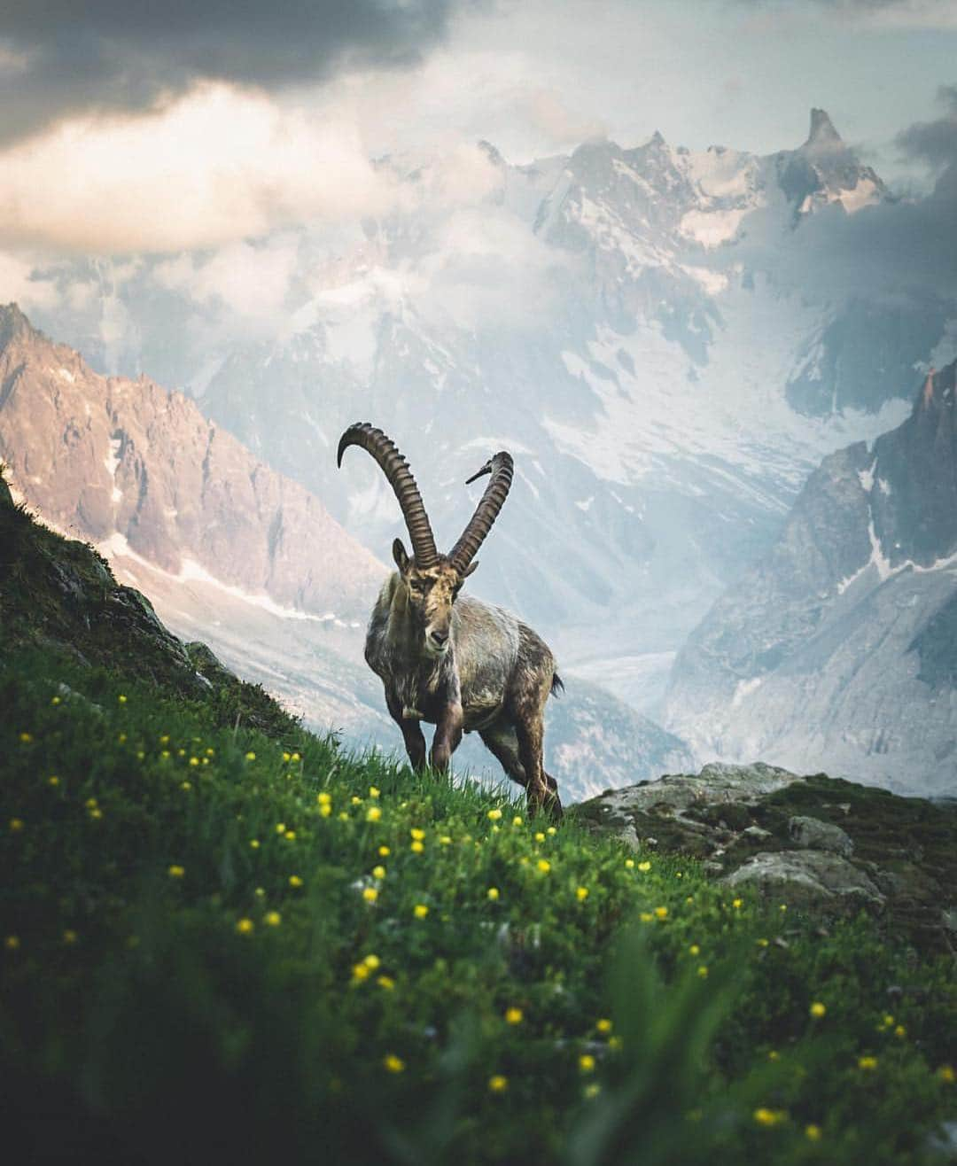 Canon Photographyさんのインスタグラム写真 - (Canon PhotographyInstagram)「Photography | @morgan_bt_  Selected via our hashtag #cpfeatureme  Chamonix, France  #chamonix #mountains #clouds #cp」3月26日 19時45分 - cpcollectives