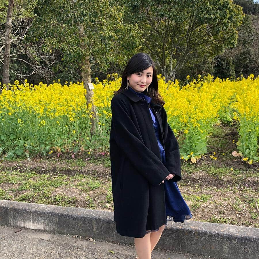 今川あかりさんのインスタグラム写真 - (今川あかりInstagram)「こんにちは🌟 今川あかりです🌼 桜の開花もあり、少しずつ暖かくなってきましたね✨ 菜の花がとてもきれいに咲いていました😌 ミス日本酒 最終選考会が終わり、もうナデシコプログラムがないんだと思うとなんだか寂しい気持ちです。 それだけ、充実した密度の濃い時間を過ごしていたのだと思います✨ 🍊 これから、2019ミス日本酒 愛媛代表として、1年間活動していきますので、応援のほどよろしくお願いいたします😌 心機一転、私らしく日本酒をはじめとして多くのことを発信していけるよう頑張ります🍶」3月26日 14時32分 - akaringo_0221