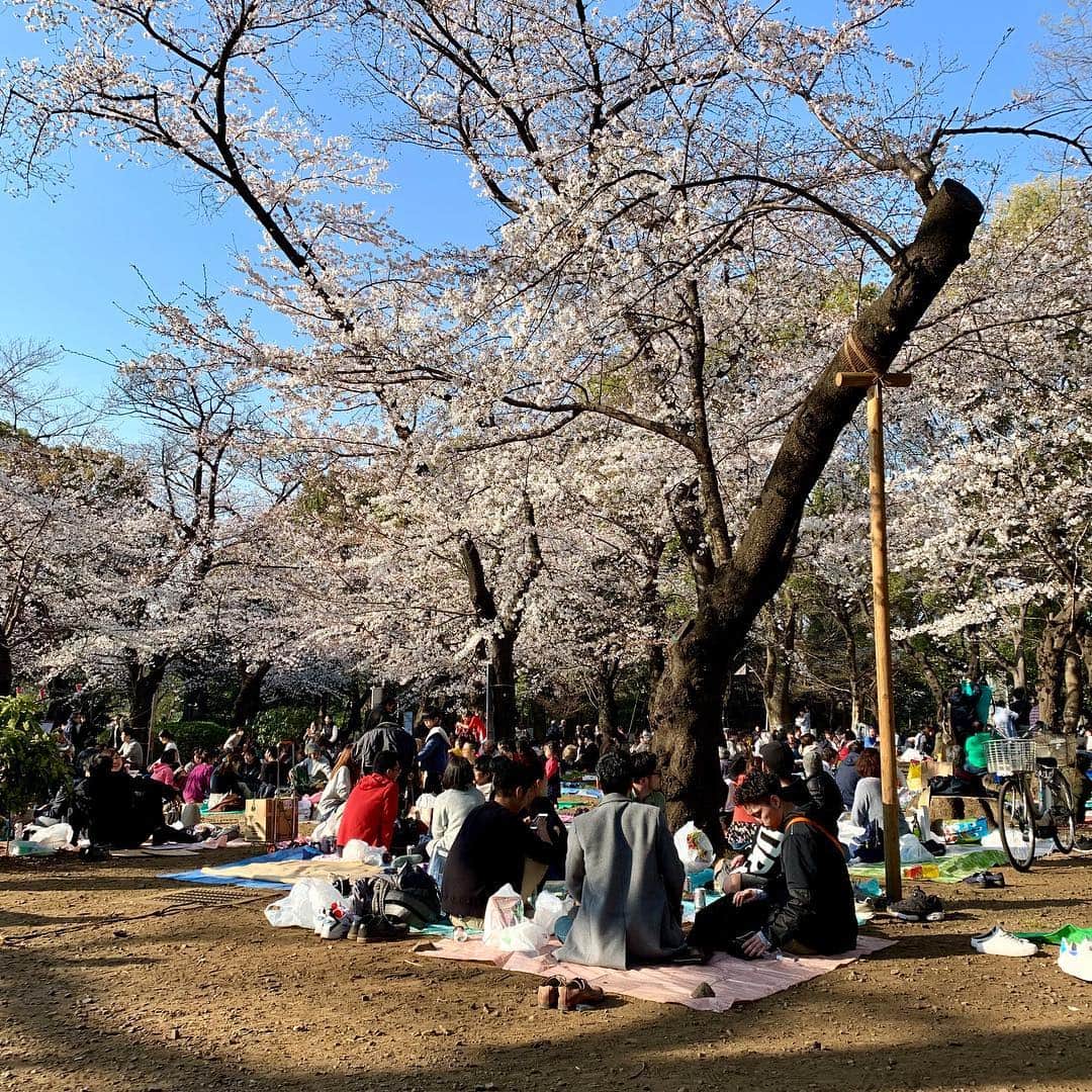 伊集院光のインスタグラム：「上野公園。三分から五分。」