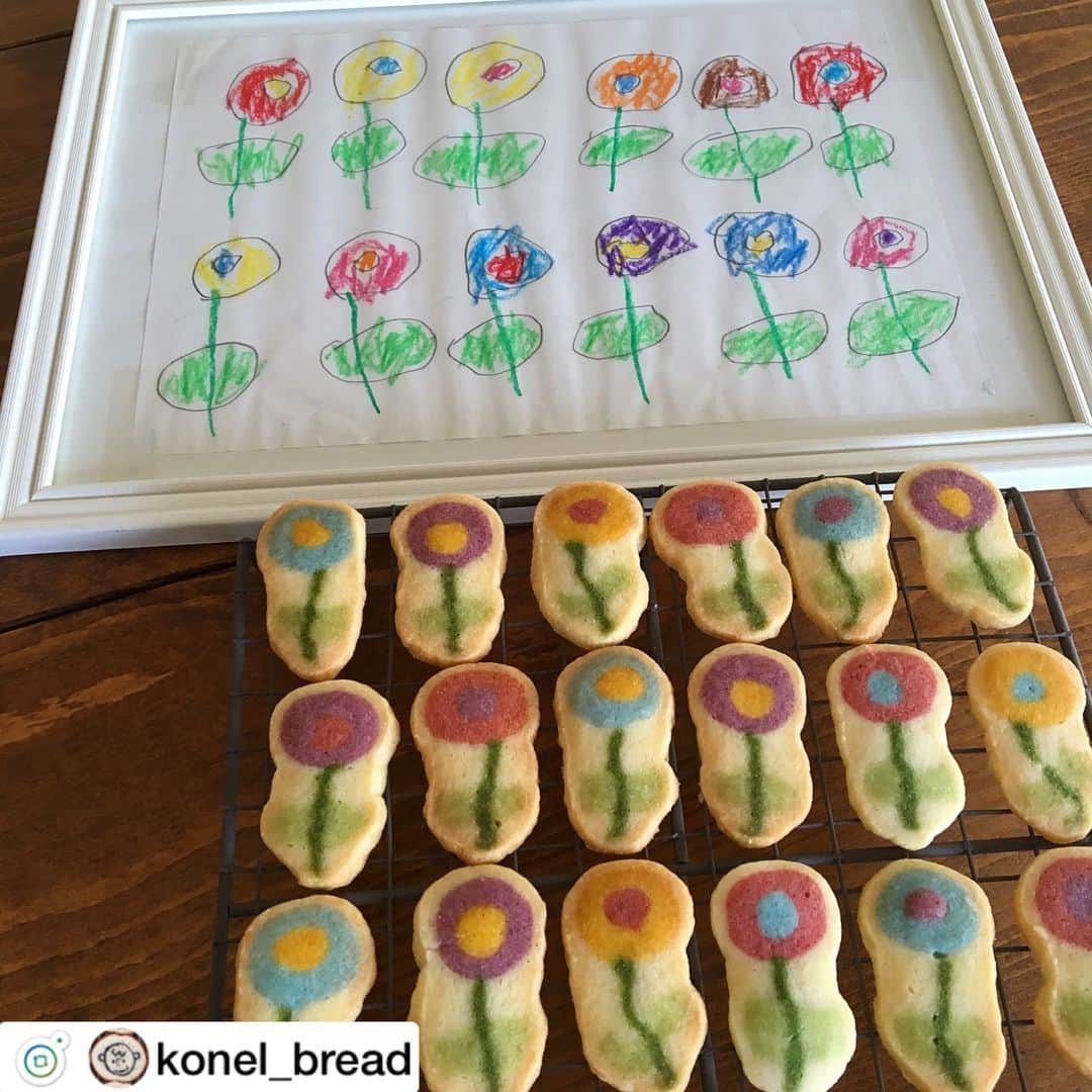 スピルリナのDICライフテック株式会社さんのインスタグラム写真 - (スピルリナのDICライフテック株式会社Instagram)「@konel_bread さま、リポストです😊✨ . カラフルなクッキーが春らしくって見ているとうきうきしてきます😆🌸🌷🌼 . お子様のイラストをクッキーで再現されていて、そっくりですばらしいです👏🏼✨👏🏼🎉 . . いつもステキな作品に植物スピルリナ由来の青色素、リナブルーやdicスピルリナをご活用いただき、ありがとうございます🙏🏼✨💙💚💕 . #linablue #手作りスイーツ部 #手作り好きさんと繋がりたい . . ↓ . . #アイスボックスクッキー  #子供の絵 . . 以前息子がかいたお花の絵を、 アイスボックスクッキーに💓 . . このお花のクッキーで、ついに完成しました✨ 次の投稿へ、、つづく。 . . .  Picture of flowers painted by my son.  I made it as a cookie.🌷🍪 . . . #cooking #cookie #iceboxcookies #flower #kawaii #kawaiifood #kidsart  #present #japan #手作りクッキー #手作りおやつ #親バカ #親バカ部 #男の子ママ #無添加おやつ #萌え断 #お菓子作り #金太郎飴 #イラストパン #リナブルー #スピルリナ #おやつ #パン教室 #konel」3月26日 16時35分 - dic_spirulina