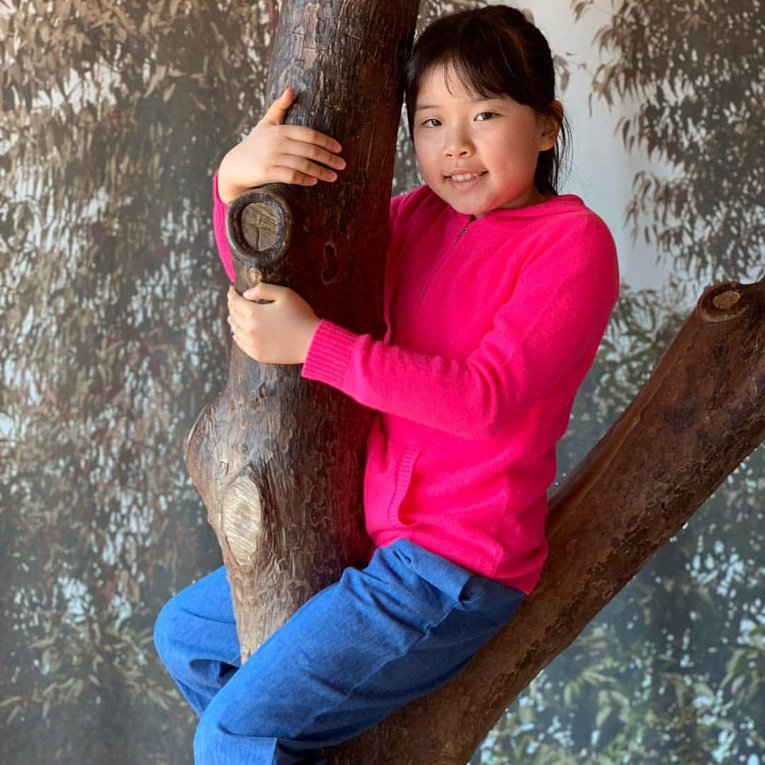 河島あみるさんのインスタグラム写真 - (河島あみるInstagram)「お弁当持って つきと神戸デート👩👧桜にはちょっと早かったかー💦 つきは 大喜びで動物たちを 激写しまくっておりました📷 #パンダ も #コアラ も 爆睡中。。。残念！！ #神戸デート #kobe」3月26日 16時43分 - amiru_kawashima