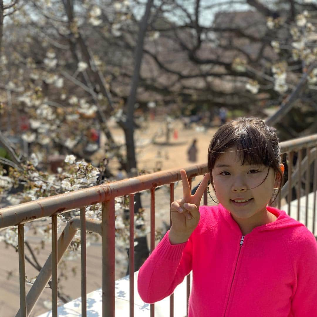 河島あみるさんのインスタグラム写真 - (河島あみるInstagram)「お弁当持って つきと神戸デート👩👧桜にはちょっと早かったかー💦 つきは 大喜びで動物たちを 激写しまくっておりました📷 #パンダ も #コアラ も 爆睡中。。。残念！！ #神戸デート #kobe」3月26日 16時43分 - amiru_kawashima