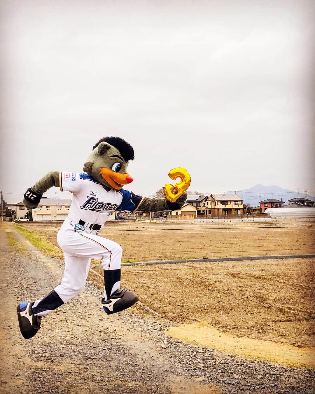 北海道日本ハムファイターズ フレップのインスタグラム