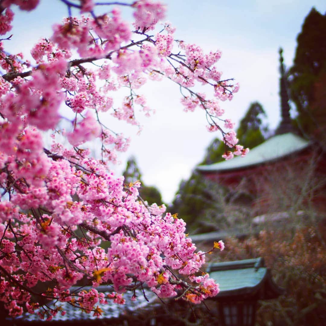 City of Kyoto Official Accountのインスタグラム