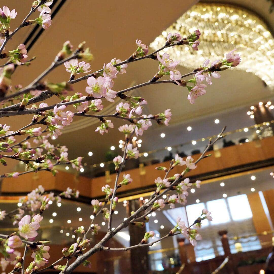 Sheraton Yokohamaのインスタグラム