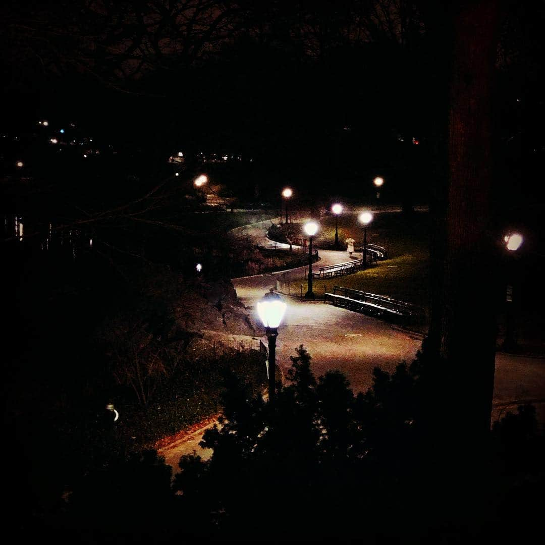 ラファエル・スバージさんのインスタグラム写真 - (ラファエル・スバージInstagram)「A rolling path of light through #centralpark  #nighttime in #newyork」3月27日 3時50分 - raphaelsbarge