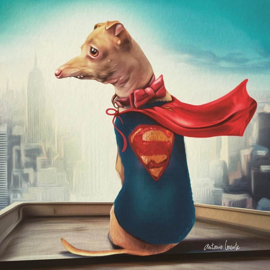 Tuna {breed:chiweenie} さんのインスタグラム写真 - (Tuna {breed:chiweenie} Instagram)「The Underdog with the Overbite! My hero! Phenomenal #tunainterpretations by @antonioilustrando 😍 #tunartuesdays」3月27日 4時21分 - tunameltsmyheart