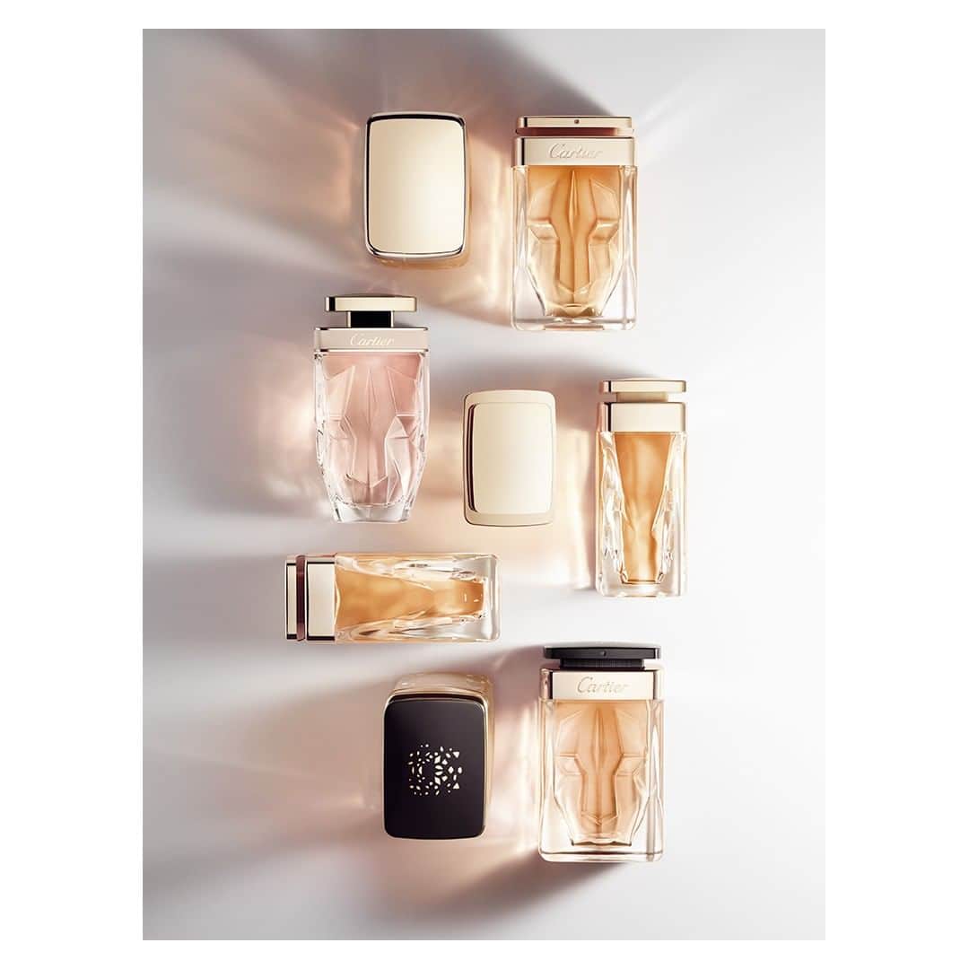 カルティエさんのインスタグラム写真 - (カルティエInstagram)「Wild femininity. Introducing La Panthère Eau de Parfum and Eau de Toilette, imagined by the Maison's in-house perfumer, Mathilde Laurent. #PanthèredeCartier #CartierParfums」3月26日 20時00分 - cartier