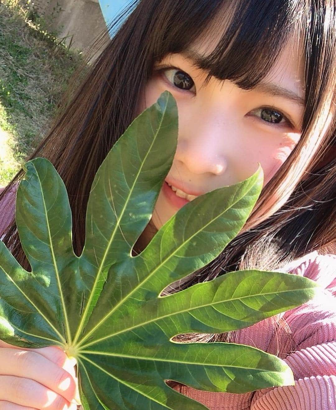 村上りいなさんのインスタグラム写真 - (村上りいなInstagram)「I played in the park. 🍀🍀🐝 #park #spring #instagood #leaf」3月26日 20時31分 - riina_murakami