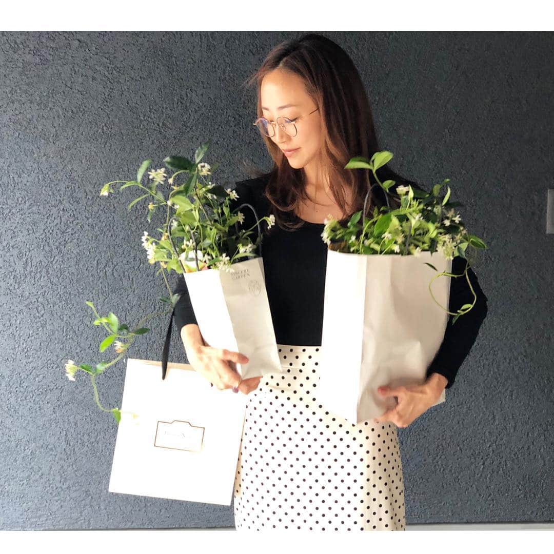 神崎恵さんのインスタグラム写真 - (神崎恵Instagram)「ジャスミンに囲まれての撮影でした。 いただいたジャスミン💠 いい香り。 小さな白い花も、蔓も可愛い。 今年は、お庭を鮮やかにする予定。 楽しみ♡ @maquia.magazine  @floranotis_jillstuart」3月26日 20時28分 - megumi_kanzaki