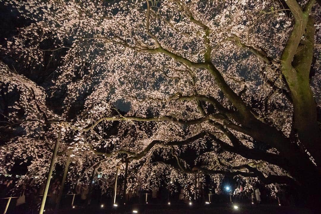 東京都庁広報課のインスタグラム