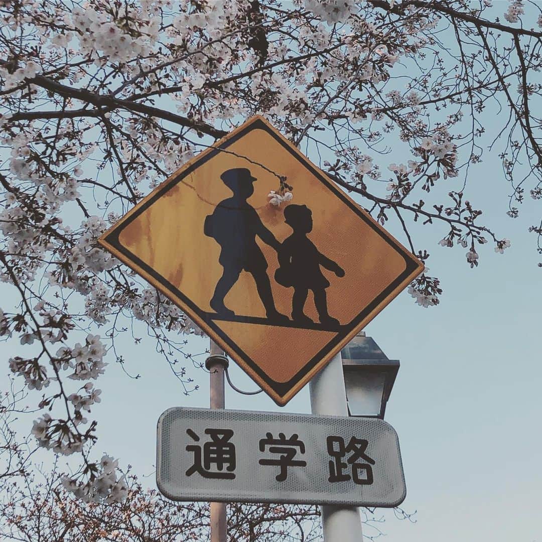 奥井亜紀さんのインスタグラム写真 - (奥井亜紀Instagram)「季節限定標識#お散歩は三歩でも良し」3月26日 20時47分 - akiokui