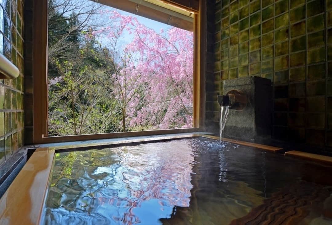 Relux | リラックスさんのインスタグラム写真 - (Relux | リラックスInstagram)「趣向を凝らした客室と風情と美が融合する庭園。点在する客室、温泉、食事処と、縫って流れる吉奈川に、まさに大自然と一体化した和のリゾートを知る。 . 📍東府や Resort＆Spa-Izu / 静岡 . . . 気になる宿の詳細はプロフィールから▶ @relux_jp . #東府やResortandSpaIzu #Relux #リラックス #旅行 #静岡 #旅館 #国内旅行 #旅したくなるフォト #旅の記録 #大人の休日 #風景写真 #おでかけ #大人旅 #旅スタグラム #旅が好き #旅フォト #ダレカニミセタイケシキ #旅行好き #日本旅行 #桜 #trip #travel #shizuoka  #unknownjapan #japantravel #ig_japan #instatravelgram #instatravelling #traveljapan #japantravelphoto」3月26日 21時00分 - relux_jp