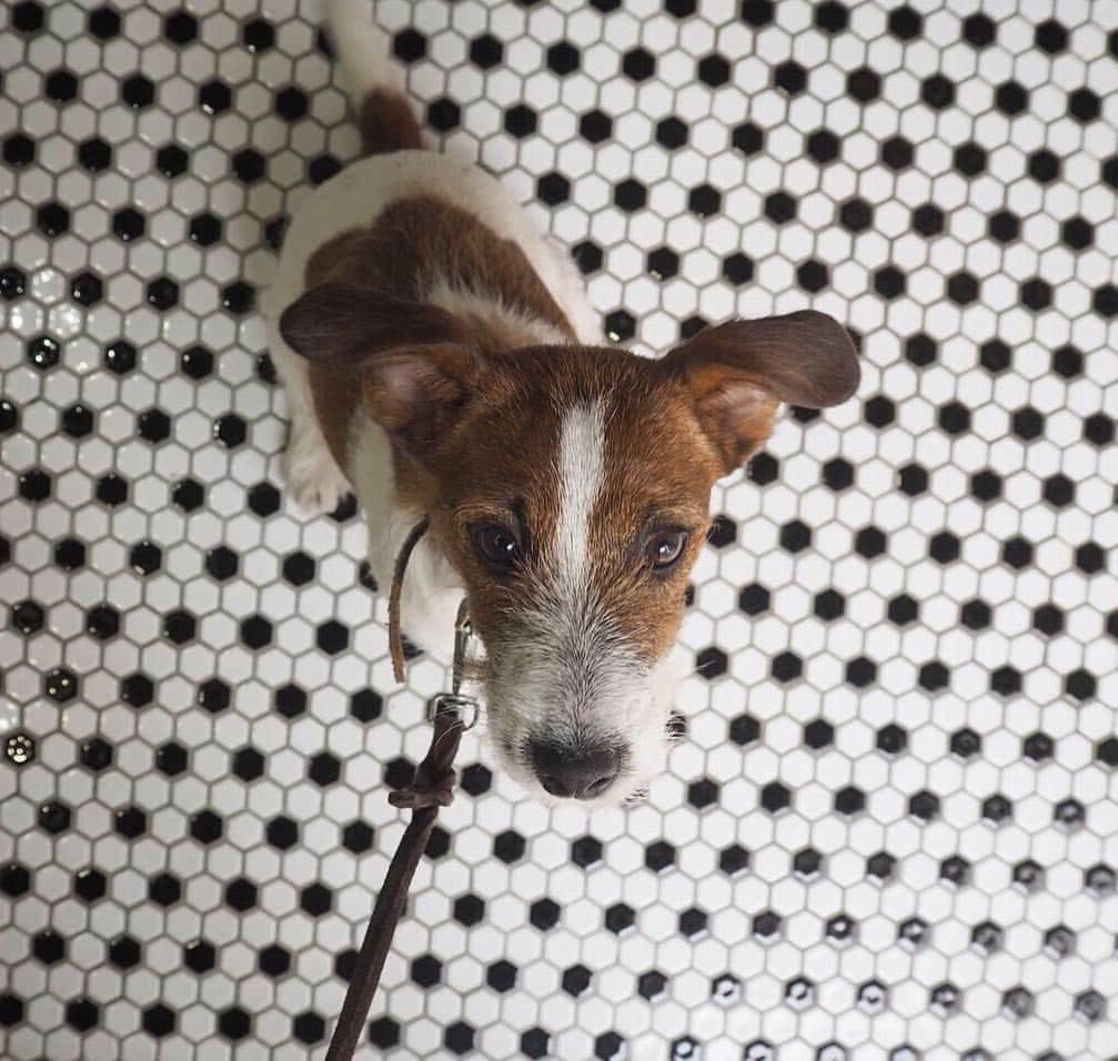 フリーマンズスポーティングクラブのグルメインスタ