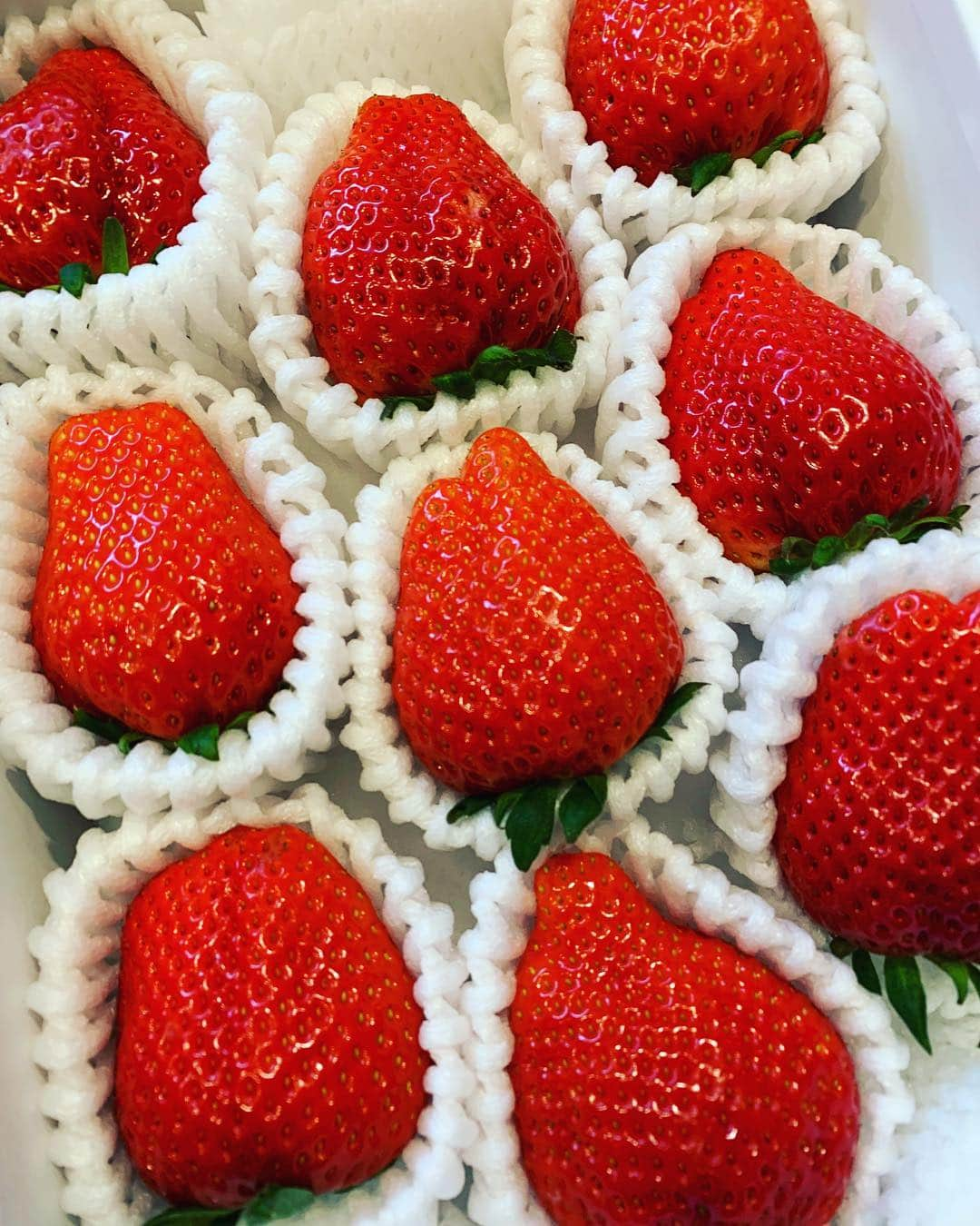 スガシカオさんのインスタグラム写真 - (スガシカオInstagram)「Strawberry 🍓 . 岩尾さん、差し入れありがとーござまーす😊」3月26日 21時19分 - suga_shikao