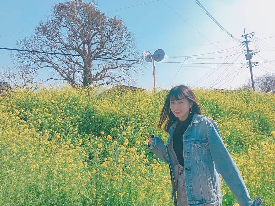 四島早紀さんのインスタグラム写真 - (四島早紀Instagram)「🌼 #菜の花 #なのはな #お散歩 🌼 . . 地元に少しだけ帰ってました。 . 🌱黄色が沢山で綺麗だった🌼💛 #春 もうすぐだね🌼🌼🌼 土手 やけん風強くて少し寒かったけど お天気良くて気持ちよかった💛 お散歩日和でした🌼🌸🌼🌸 . #地元 #福岡 #久留米 #帰省 #🌼 #黄色 #Flower #お花 #followme #💛」3月26日 21時20分 - saki_shishima