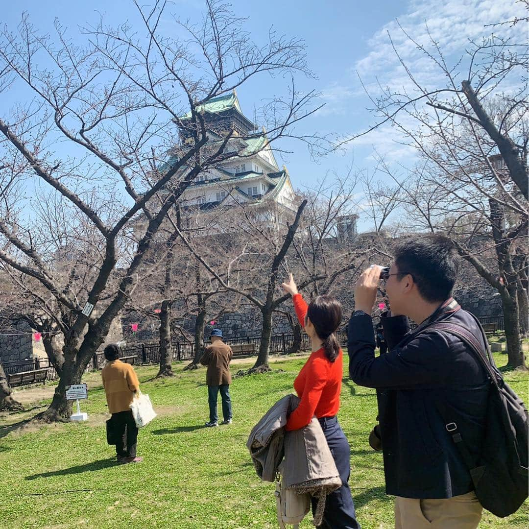 薄田ジュリアさんのインスタグラム写真 - (薄田ジュリアInstagram)「☑︎ 大阪もそろそろ 桜の開花発表があるかな〜と、  標本木のある大阪城公園へ♩  片平気象予報士は毎年 プライベートで見に来るほどの桜好き( ^ω^ )♡ . 結局咲いているのは４輪のみで 開花発表にはなりませんでしたが…  片平さんの桜への深い愛と 豊富な知識をたくさん伺って、  より桜に興味を持ちました。  さぁ明日には☆  #さくら #開花発表ならず #大阪城公園 #気象予報士」3月26日 21時30分 - julia_usuda