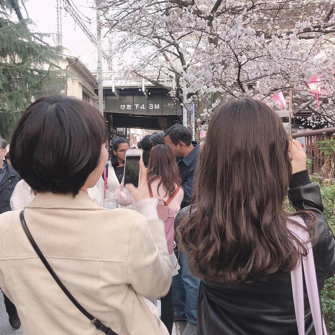 のインスタグラム：「* * #中目黒 🌸🍸 . .」