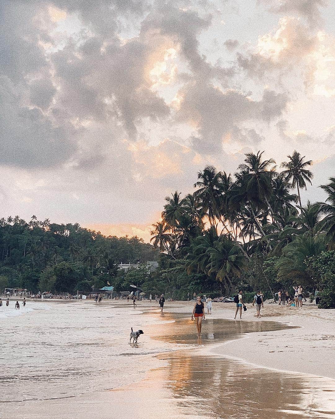 Manamiのインスタグラム：「so chill in Sri Lanka🌅🌴」