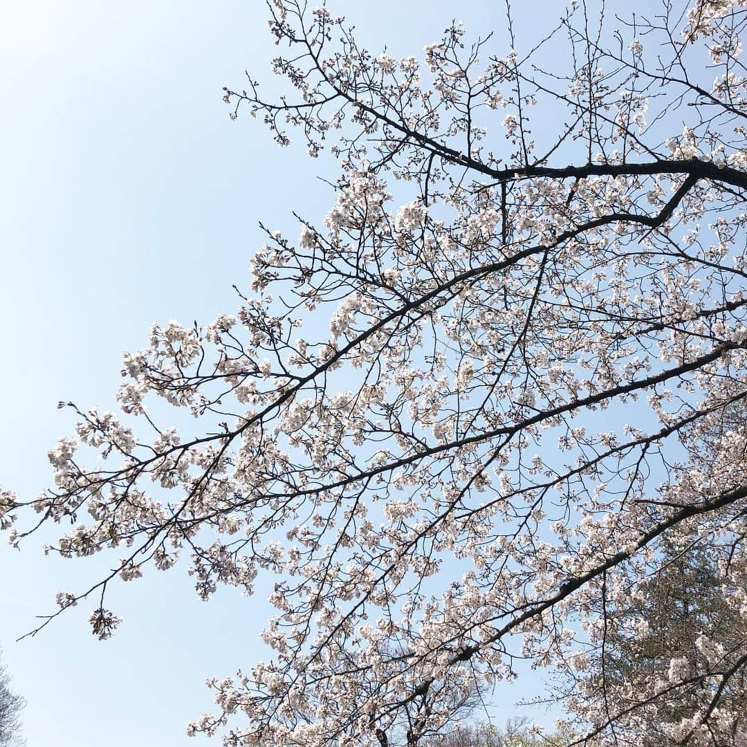 加藤美祐のインスタグラム