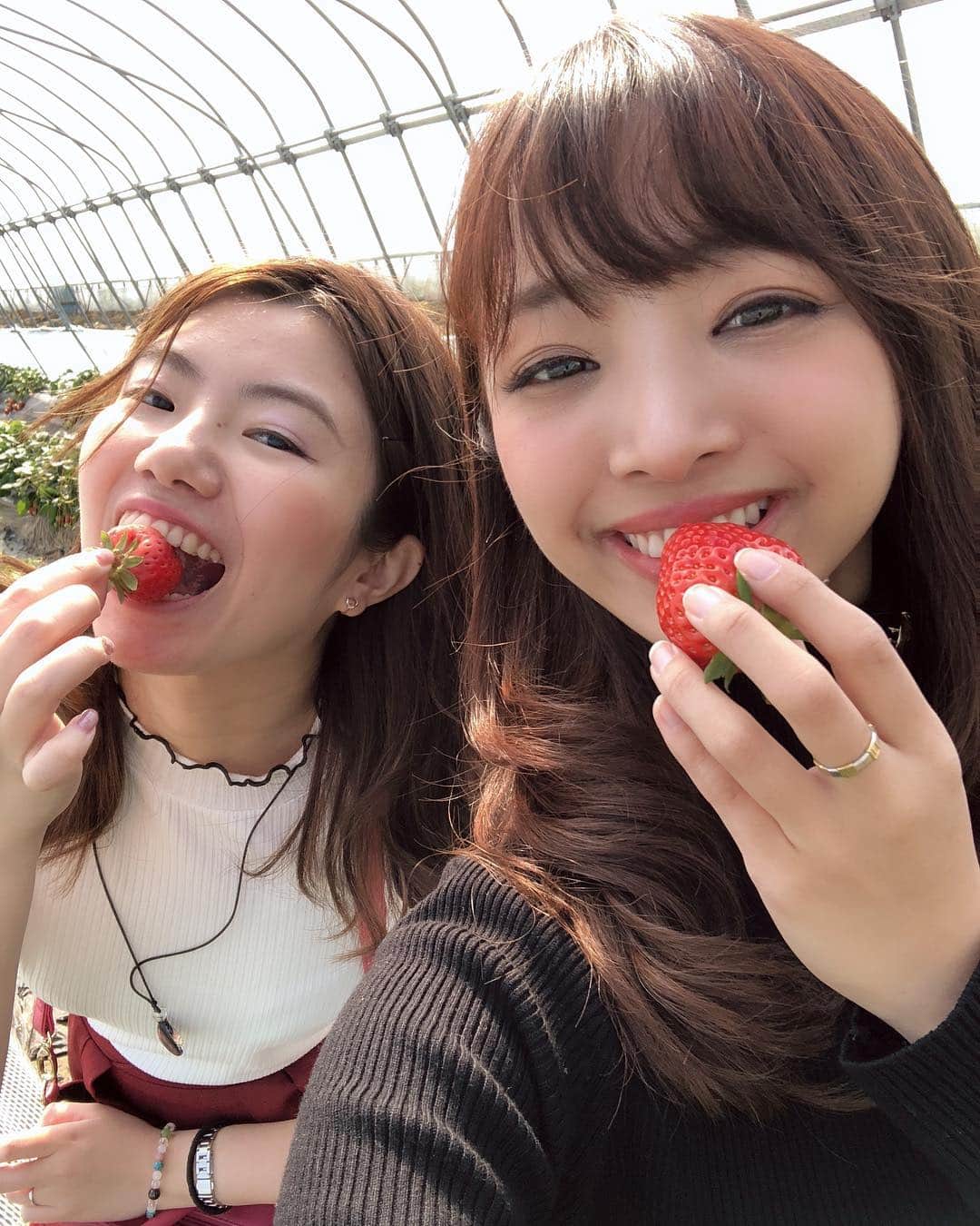 青木茉耶さんのインスタグラム写真 - (青木茉耶Instagram)「＊ . . #いちご狩り 🍓 #スカイベリー が甘くて美味しすぎた😍 . フルーツの中で ダントツいちごがすき💗💗 . . あと2回くらい行けたらいいな〜😯 . . #maya私服 #zara #zara女 #moussy #ootd #今日のコーデ」3月26日 22時52分 - ma_ya_126