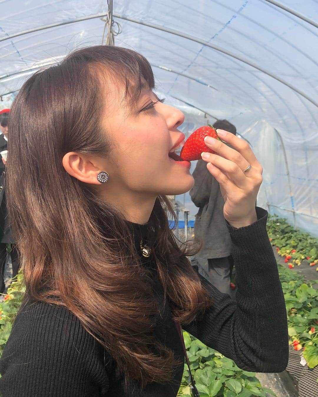 青木茉耶さんのインスタグラム写真 - (青木茉耶Instagram)「＊ . . #いちご狩り 🍓 #スカイベリー が甘くて美味しすぎた😍 . フルーツの中で ダントツいちごがすき💗💗 . . あと2回くらい行けたらいいな〜😯 . . #maya私服 #zara #zara女 #moussy #ootd #今日のコーデ」3月26日 22時52分 - ma_ya_126