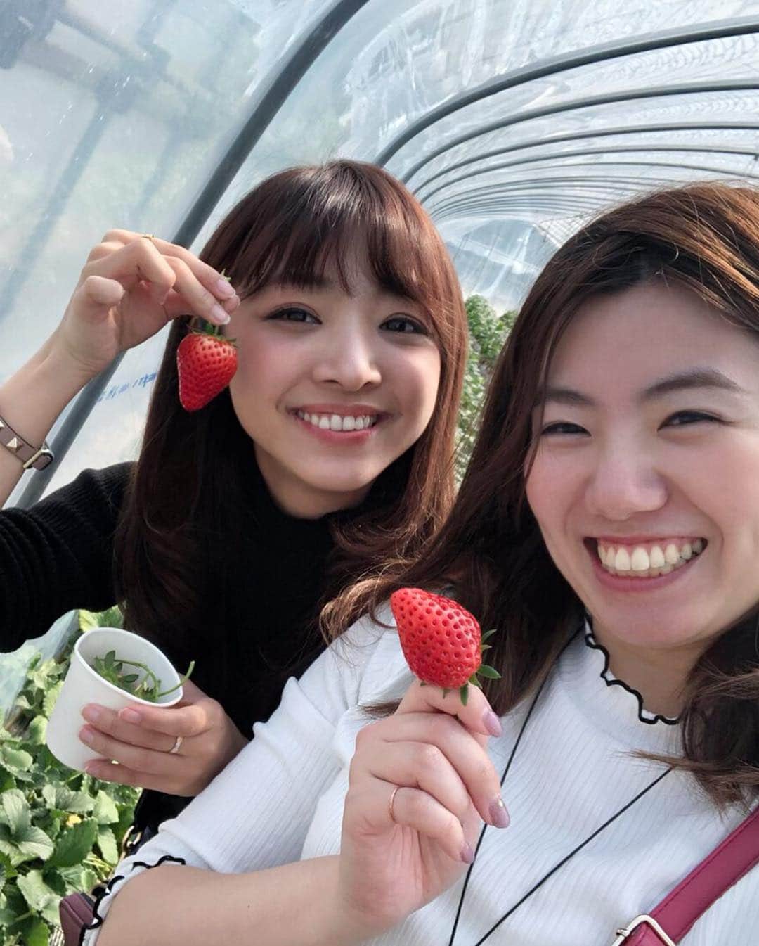 青木茉耶さんのインスタグラム写真 - (青木茉耶Instagram)「＊ . . #いちご狩り 🍓 #スカイベリー が甘くて美味しすぎた😍 . フルーツの中で ダントツいちごがすき💗💗 . . あと2回くらい行けたらいいな〜😯 . . #maya私服 #zara #zara女 #moussy #ootd #今日のコーデ」3月26日 22時52分 - ma_ya_126