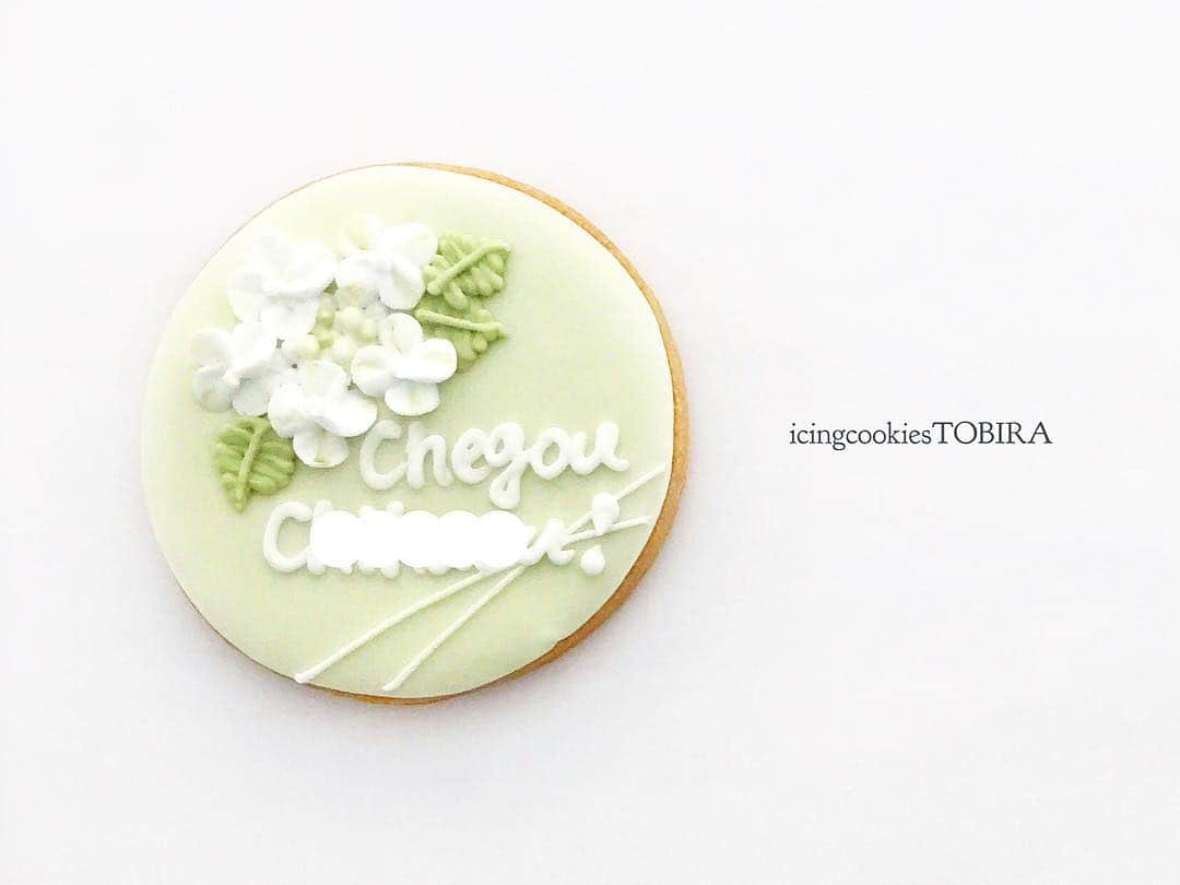 MAYUのグルメインスタ