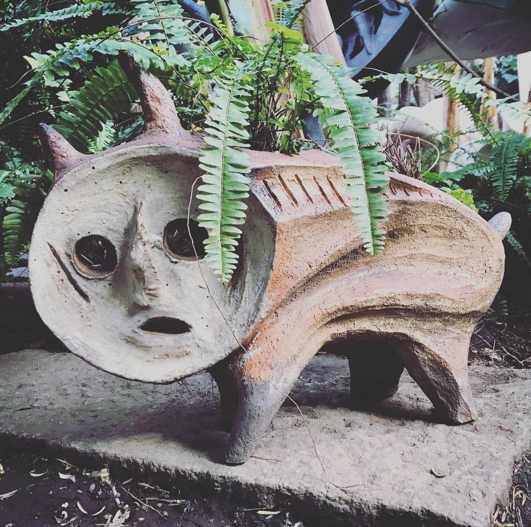石川龍のインスタグラム：「#猛獣 #犬バカ部 #岡本太郎 #植木鉢」
