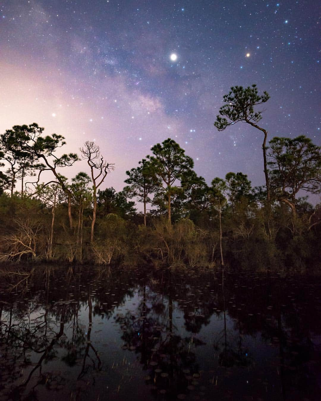 NikonUSAさんのインスタグラム写真 - (NikonUSAInstagram)「With the Nikon #D800 and AF-S NIKKOR 14-24mm f/2.8G ED, Nikon photographer @joshua.chastain photographed the night sky over Santa Rosa beach: "Longleaf pines are a huge part of the landscape in this part of the country. I love how some will grow a little crazy which I think makes them even more beautiful especially under the night sky. 🌌✨ #milkyway #nightsky #astrophotography #nikonnofilter」3月26日 23時34分 - nikonusa